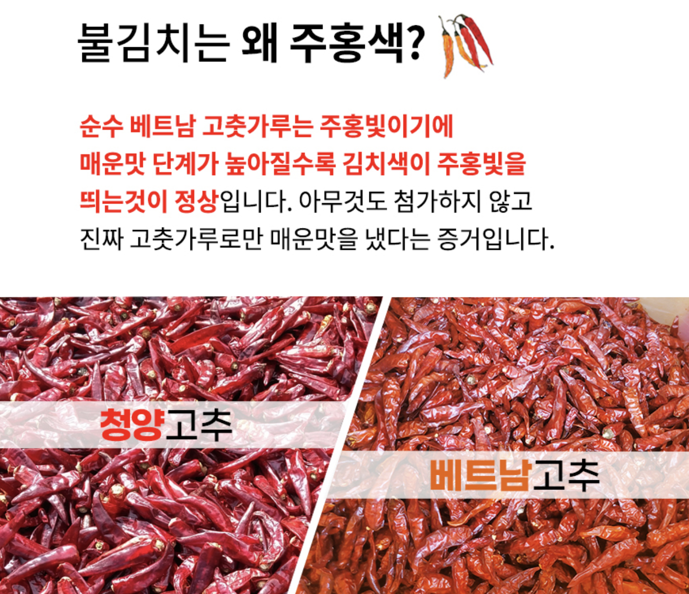 양념을 아끼지 않은 전라도 가정식 김치