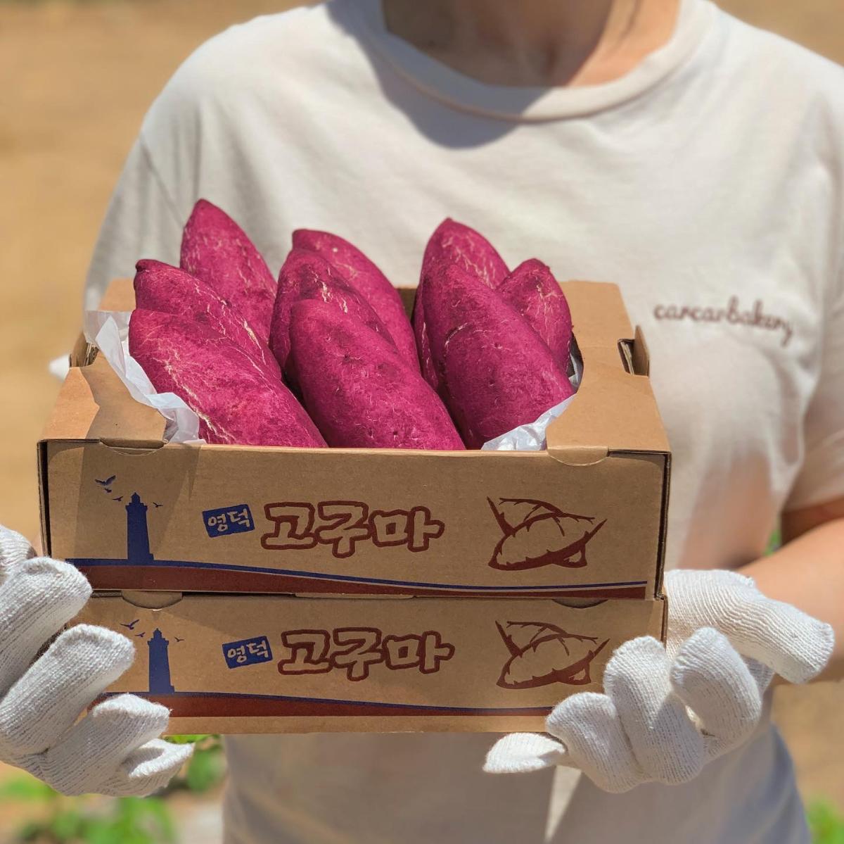 영덕_고향사랑기부제_답례품_고구마빵