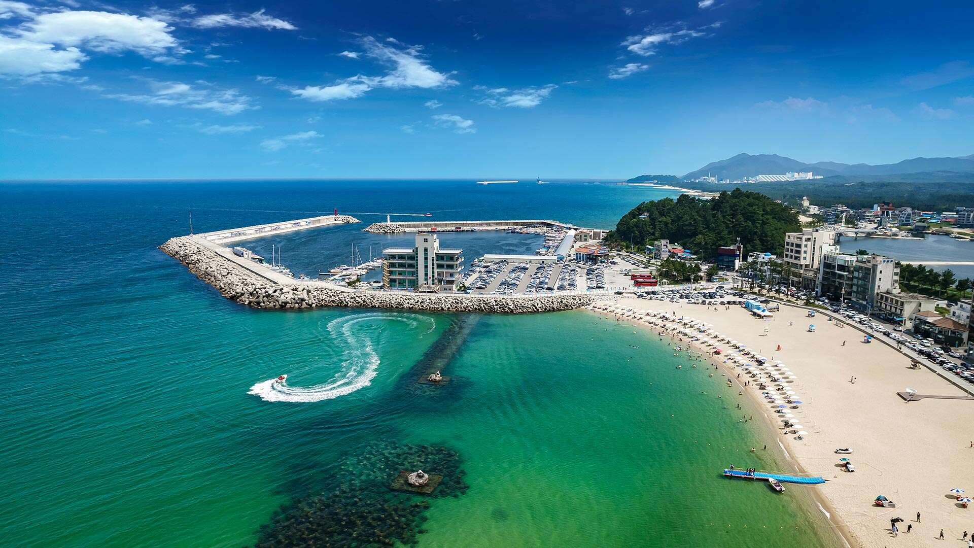 강릉 안목해변 카페거리